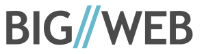 BigWeb Logo